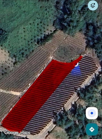 $雲林古坑農牧用地/現種鳳梨/自用出租兩相宜B｜雲林縣古坑鄉古坑段古坑小段