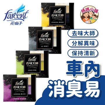 車內消臭易 去味大師 車內專用 異味退散 去除異味 備長炭 銀離子 薰衣草 檸檬 分解 清新 房間 浴廁 汽車消臭易系列
