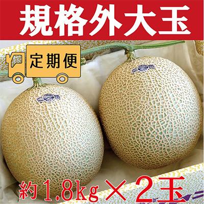 ふるさと納税 袋井市 クラウンメロン2玉〜ご家庭用に〜6ヵ月毎月お届け全6回