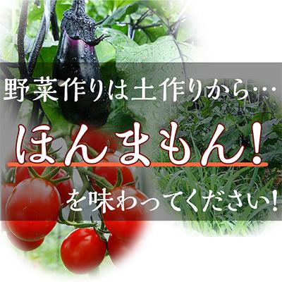 ふるさと納税 亀岡市 アスカ有機農園の旬の京野菜セットL 平飼い卵付き