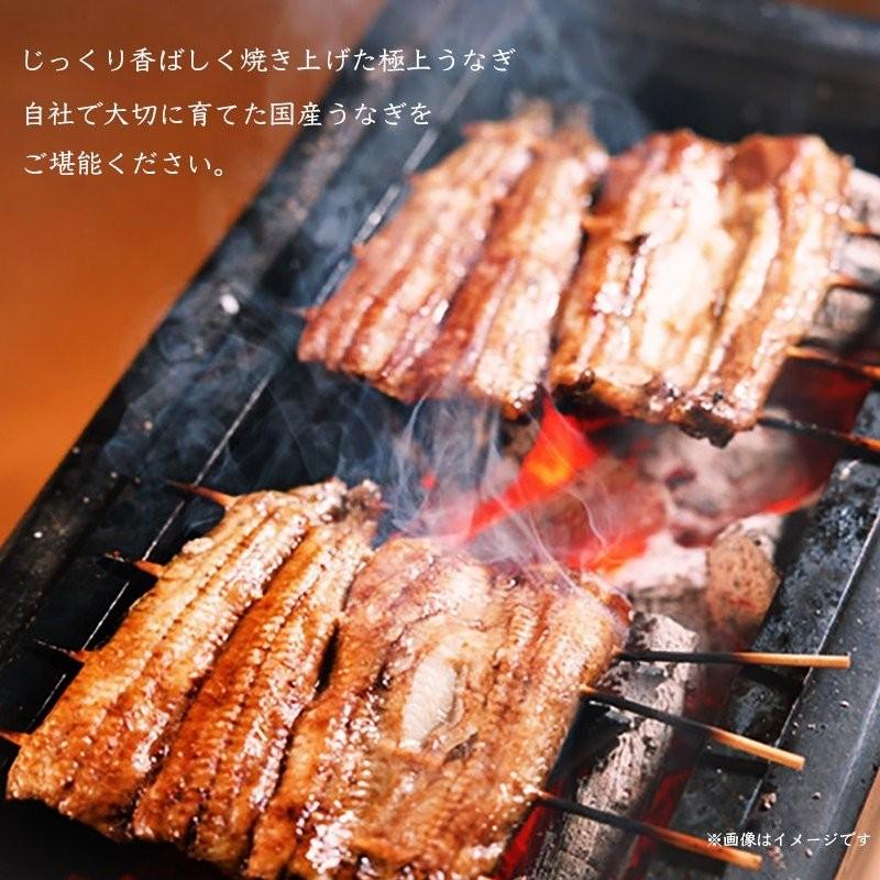 うなぎ蒲焼き 国産1尾（160g前後）送料無料(離島を除く）自社養殖 鰻 化粧箱  贈り物 ギフト グルメ プレゼント