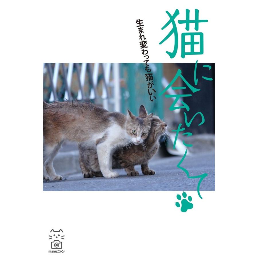 猫に会いたくて 生まれ変わっても猫がいい 電子書籍版   撮影:mayuニャン