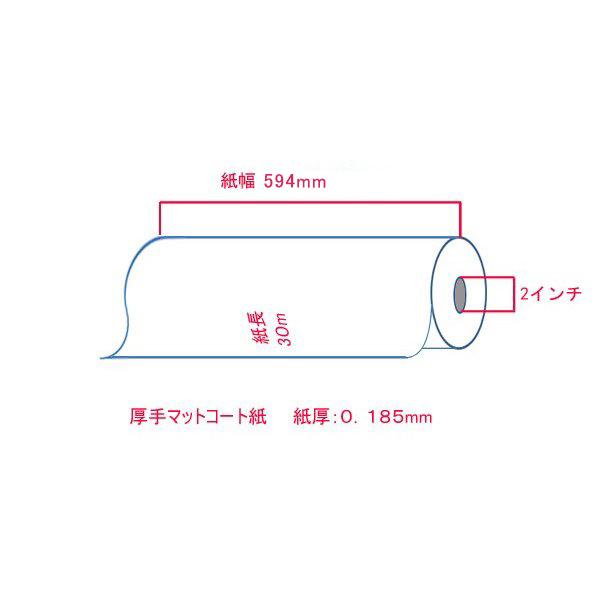 大判プリンター用紙 インクジェットロール紙 厚手マットコート紙 594mm×30M 2本 A1ロール紙