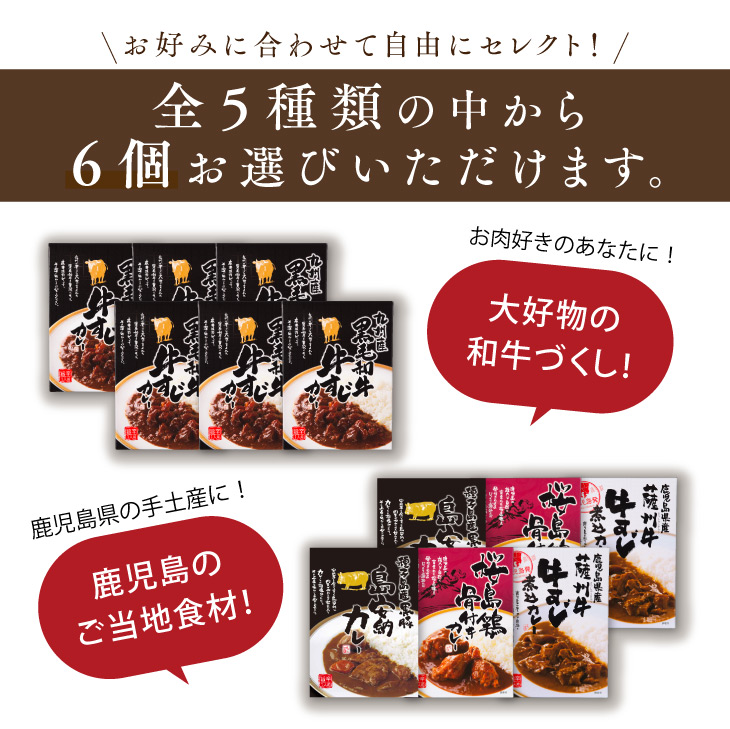 産地直送九州お取り寄せ　お歳暮　贈答　ギフト　お土産　ビーフ　チキン　ポーク　タケノコ　ご当地カレー　送料無料