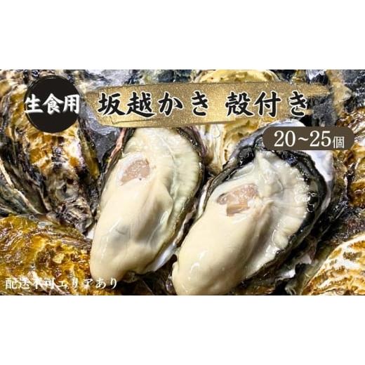 ふるさと納税 兵庫県 赤穂市 牡蠣 生食用 坂越かき 殻付き 20〜25個[ 生牡蠣 真牡蠣 かき カキ 冬牡蠣