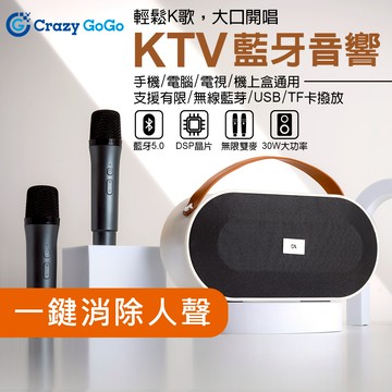 TW現貨 送禮 露營 交換禮物藍牙KTV音響 藍芽麥克風 k歌麥克風 行動ktv 藍牙喇叭 藍芽喇叭 小型音響  雙喇叭