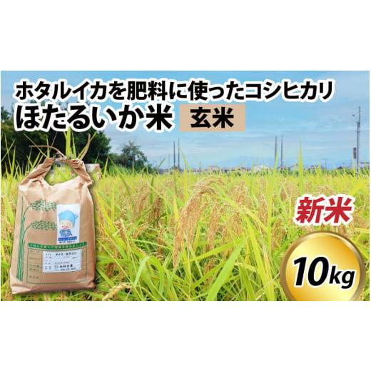 ふるさと納税 富山県 滑川市 ほたるいか米（新米／玄米10kg）