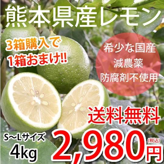 レモン 国産レモン 送料無料 4kg S〜L 3箱購入で1箱おまけ 熊本県産 減農薬 防腐剤ワックス不使用 れもん グリーンレモン 国産