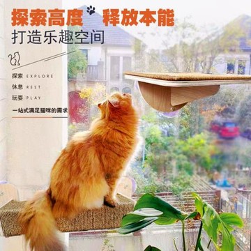 DIY組合貓跳臺貓爬架貓窩貓墻訓貓實木貓別墅貓玩具吸盤壁掛式
