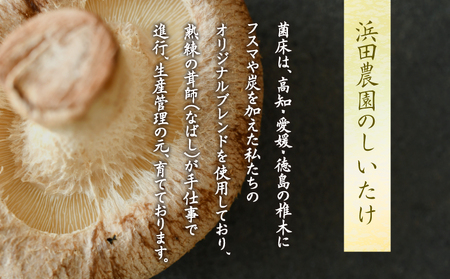 訳あり しいたけ 3kg 冷蔵 国産 徳島県 不揃い 規格外 椎茸 しいたけ きのこ 家庭用 おかず 大人気しいたけ 人気しいたけ 絶品しいたけ 至高しいたけ 国産しいたけ 徳島県産しいたけ 徳島県しいたけ 本格しいたけ 訳ありしいたけ しいたけ