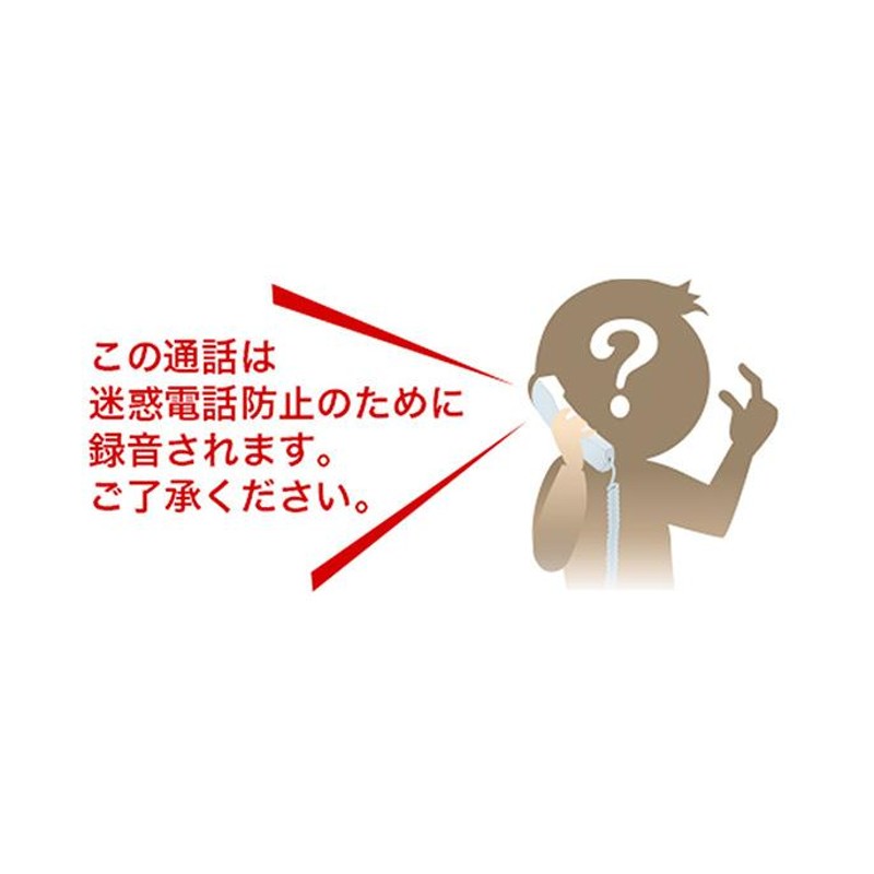 子機2台 親機受話器コードレスタイプ パナソニック 留守番 電話機 「VE