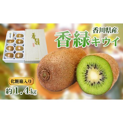 ふるさと納税 香川県 東かがわ市 [No.4631-2068]香緑（こうりょく）キウイ 約1.4kg 化粧箱入り