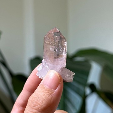 圖桑帶回 |珍稀礦 Vera Cruz 克魯茲紫水晶 骨骸 記憶水晶 帶母岩 通靈小品 紫水晶 天然水晶 T240321-905