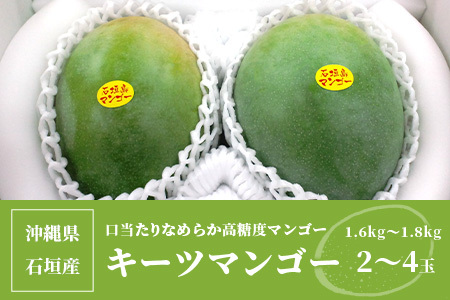 沖縄県石垣島産 キーツマンゴー 1.6kg～1.8kg2024年発送分