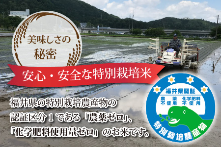  令和5年度産 永平寺町産 農薬不使用・化学肥料不使用 特別栽培米 コシヒカリ 5kg×3ヶ月（計15kg） [D-033082]