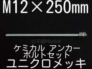 ケミカルボルト アンカーボルト ユニクロメッキ M12×250mm 寸切ボルト1本 ナット2個 ワッシャー1個 Vカット 両面カット「取寄せ品」