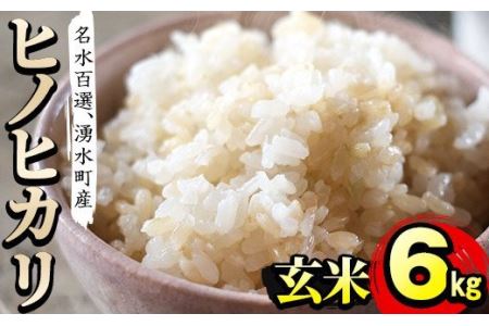 y171 名水百選の郷！ヒノヒカリ玄米6kg（2kg×3袋）