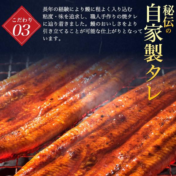 2尾セット 国産うなぎ 蒲焼き (180g 2尾) 老舗うなぎ専門店 五郎藤 タレ付き 国産 手焼き 国産鰻 三重県産 愛知県産 お取り寄せ グルメ 熨斗対応可 冷凍配送