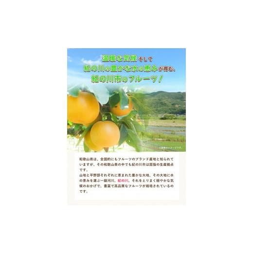 ふるさと納税 和歌山県 紀の川市 和歌山県紀の川市産 の豊水梨 約4kg （約9玉〜13玉）紀の川市厳選館 《2024年8月中旬-9月上旬…