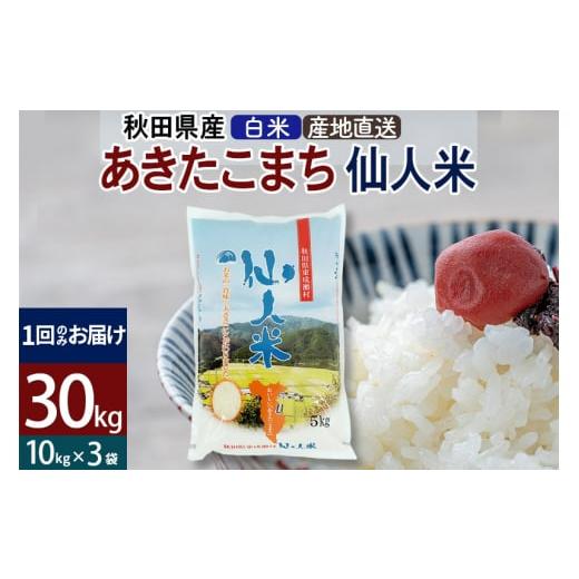 ふるさと納税 秋田県 東成瀬村 新米 令和5年産 あきたこまち 秋田県産「仙人米」白米 30kg（10kg×3袋）