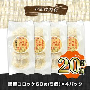 ふるさと納税 ＜数量限定＞長島町産じゃがいも使用 黒豚コロッケ(計20個・5個入り×4P)nanchiku-1023 鹿児島県長島町