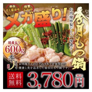 メガ盛り博多もつ鍋セット 送料無料 （新鮮国産もつ600g）