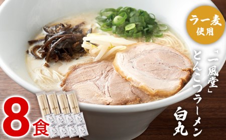 ラー麦使用「一風堂」とんこつラーメン 白丸(8食)