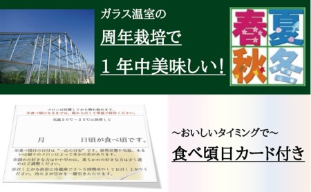 クラウンメロン　名人（1.4kg～1.5kg）×1玉　桐箱