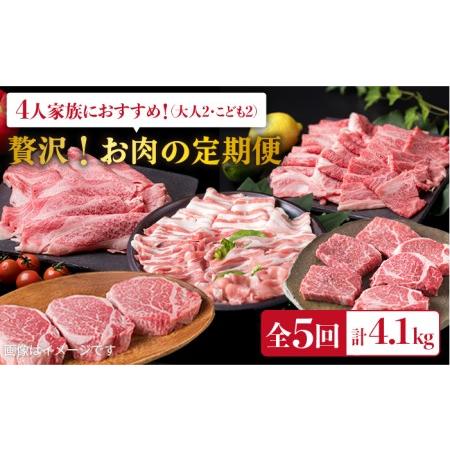 ふるさと納税 美味しさ満載！贅沢お肉の定期便全5回（月1回） 4人家族用 (福岡 糸島産 牛肉 豚肉 鶏肉 ステーキ しゃぶしゃぶ すき焼き ヒレ シ.. 福岡県糸島市