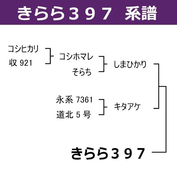 北海道産米 きらら３９７ 玄米 30kg 令和5年産　一等米