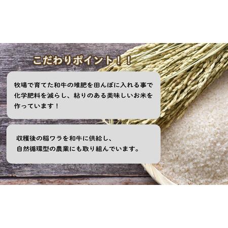 ふるさと納税 令和5年 山口県産 きぬむすめ 玄米 10kg×3回 GA011 山口県下関市