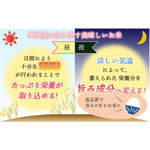 ふるさと納税 福井県 勝山市 白山の恵み 令和5年度産 コシヒカリ（玄米）10kg [A-009005]