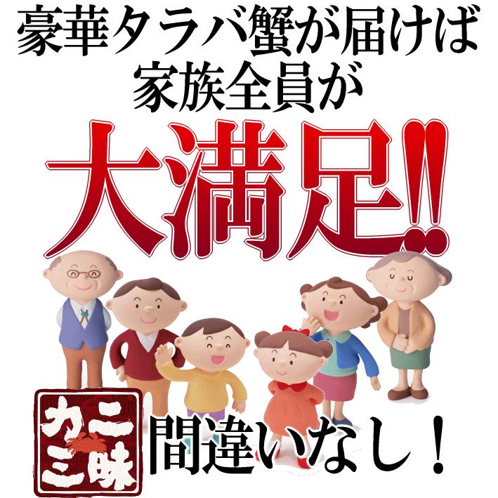 タラバガニ 蟹 カニ 脚 特大 ボイル 茹で 焼き 鍋 ステーキ バーベキュー ギフト 贈答用 冷凍 たらば 800g 送料無料 セール