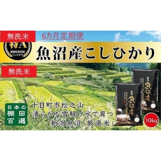 ふるさと納税 新潟県 十日町市 無洗米「6カ月定期便」日本棚田百選のお米　天空の里・魚沼産こしひかり　１０ｋｇ(５ｋｇ×２)×６回