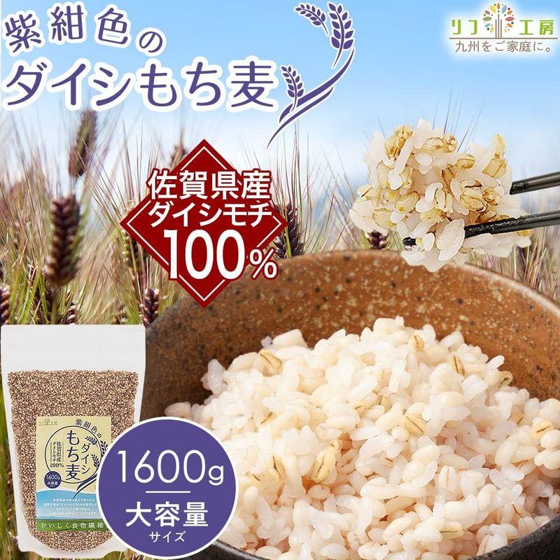 もち麦 国産 ダイシモチ 佐賀県産100% 紫紺色のダイシもち麦 1600g（1.6kg） リフ工房 もちむぎ 国産 もち 麦 麦飯 麦ごは