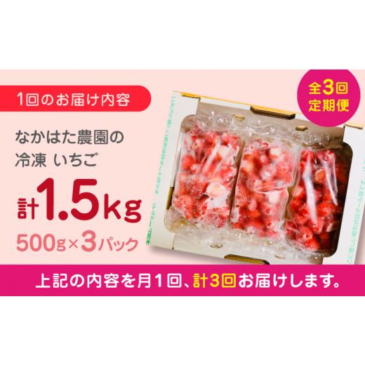 ふるさと納税 熊本県 山都町  熊本県産 冷凍イチゴ 計1.5kg 500g × 3P 山都町産 産地直送[YBI018] 30000 30…