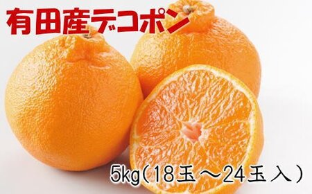 デコポン 不知火 フルーツ 果物   紀州有田産のデコポン約5kg(18玉～24玉入り・青秀以上) ※2024年1月下旬頃～3月下旬頃順次発送