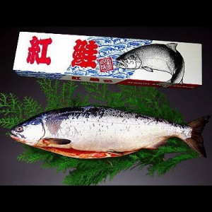 北洋紅鮭 甘塩 約2.8kg 送料無料 ※沖縄は送料別途加算