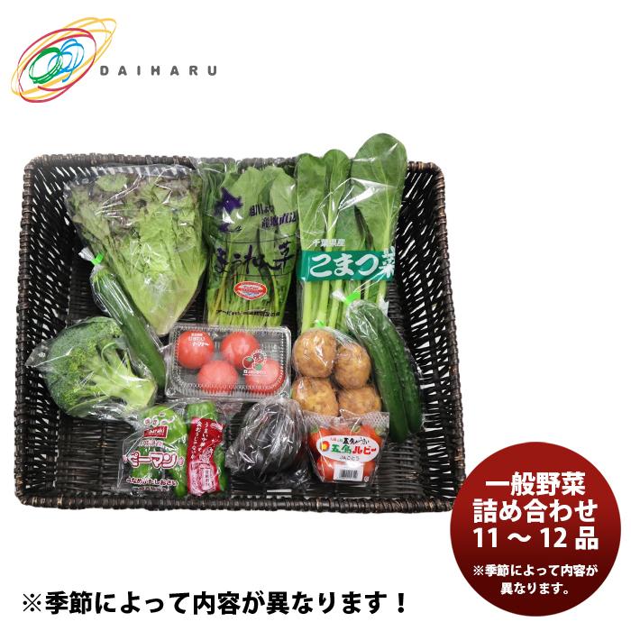 大田市場直送 　一般野菜詰め合わせ 11〜12品 　季節野菜　 (株)大治 新発売