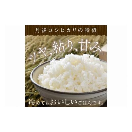 ふるさと納税 京都府 京丹後市 令和5年産 新米 1等米 丹後こしひかり 5kg