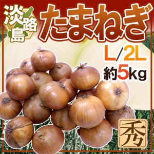 兵庫県 淡路島産 ”たまねぎ” 秀品 L 2L 約5kg 送料無料