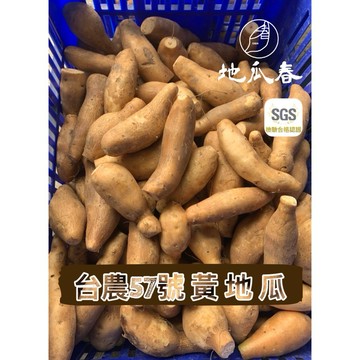 《地瓜春》水林👩🏻‍🌾台農57號🆕最新SGS無毒認證 阿娘喂～有夠好吃‼️現挖🎏自產自銷（一單最多七斤唷）