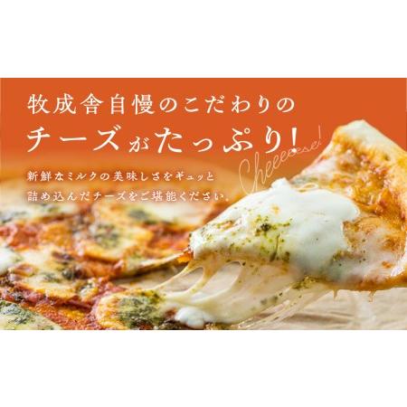 ふるさと納税 ＜牧成舎・ふるさと納税限定＞飛騨のチーズたっぷりピザ贅沢セット［C0002］ 岐阜県飛騨市