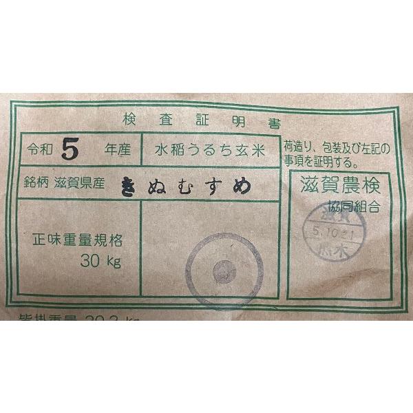 新米 1kg 滋賀県 きぬむすめ 1等玄米