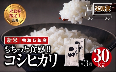 ＼定期便3回／ 田村産 コシヒカリ 30kg 10kg ずつ 3回 配送ギフト 贅沢 のし対応 １週間以内発送 福島 ふくしま 田村 贈答 美味しい 米 kome コメ ご飯 ブランド米 精米したて お米マイスター 匠 食味鑑定士 安藤米穀店