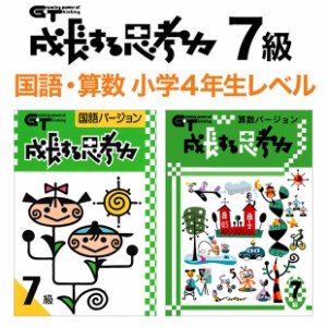 新品 メール便 送料無料 成長する思考力GTシリーズ 国語・算数バージョン7級 小学4年生レベルセット 学林舎 小学生 小学校 考える力 教材