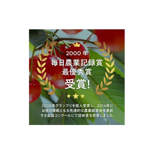 ふるさと納税 山梨県 北杜市 極上品大玉・さくらんぼ 2L〜3L一段並 約500g／毎日農業記録賞・全国最優秀賞受賞