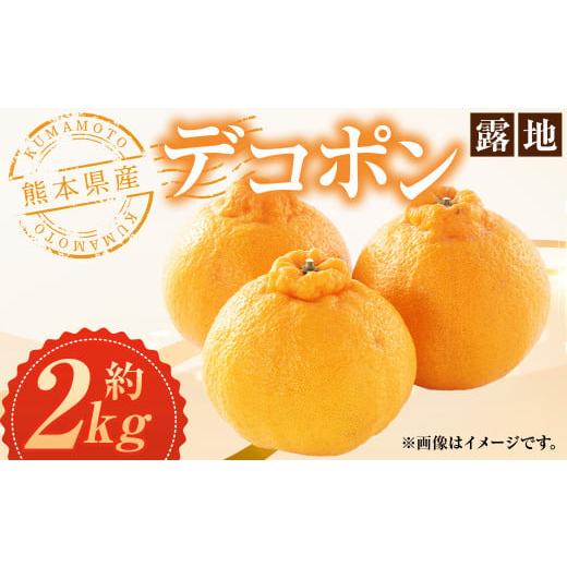 ふるさと納税 熊本県 熊本県産 デコポン(露地) 約2kg 約7〜8玉