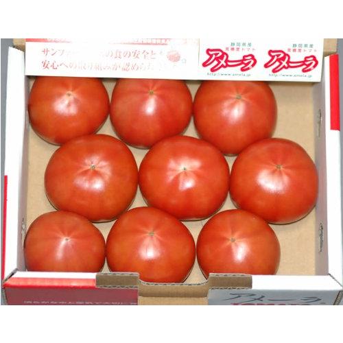 静岡産 トマト アメーラ 1kg 8~12個 化粧箱入