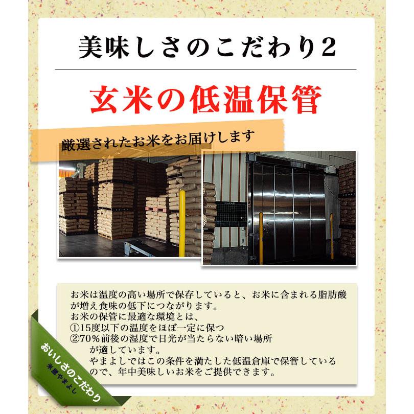 米 お米 福島県中通り産 ミルキークイーン 玄米:30kg(白米:約27kg) 精米無料 送料無料 ※沖縄県・離島対応不可